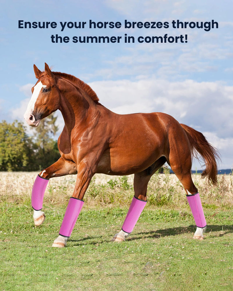 Premium Horse Fly Boots, Ultimate Protection Set for Horse Legs - Breathable Mesh, Stay-on Design, Stomp Reduction (Set of 4)-Rose Red - BeesActive Australia