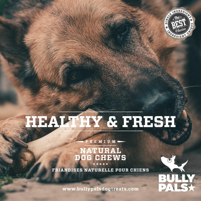 6 Inch Beef Collagen Sticks for Dogs (12 Pack) All Natural, Odor Free Collagen Chews - Rawhide Free Long Lasting Dental Collagen Bones for Small to Medium Dogs 0.88 Ounce (Pack of 12) Standard - 12 pack