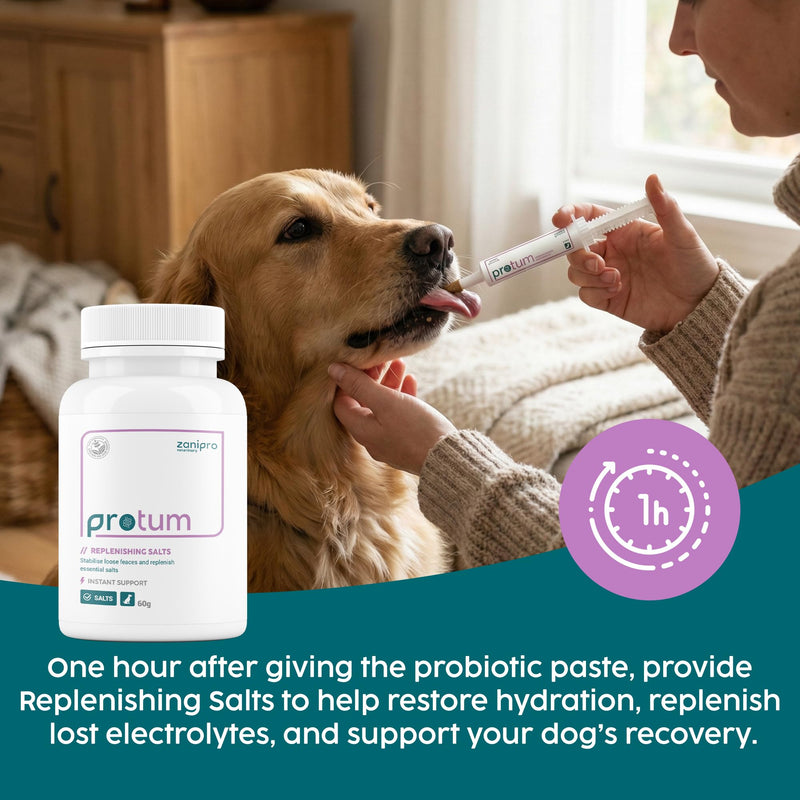 Protum Probiotic Paste for Dogs - 30ml Advanced Prebiotic Formula for Digestive Support - Tasty Flavour for Canine Gut Health - Aids Digestion, Diarrhea Recovery, and Wellness Original 30cc (ml)