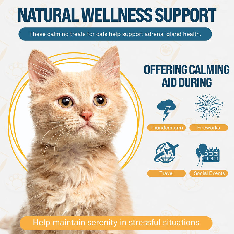 Kitty Select Cat Calming Treats, 180 Cat Melatonin Chews for Sleep, 1mg Beef Flavored