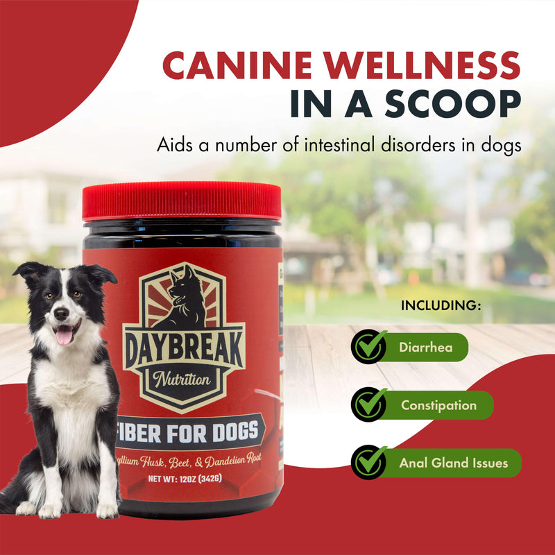 Fiber for Dogs Psyllium Husk, Beet Root, Dandelion Root, and Prebiotics to Aid in Relief from Diarrhea, Constipation, Anal Gland Issues, and Scoots 12 Oz - BeesActive Australia
