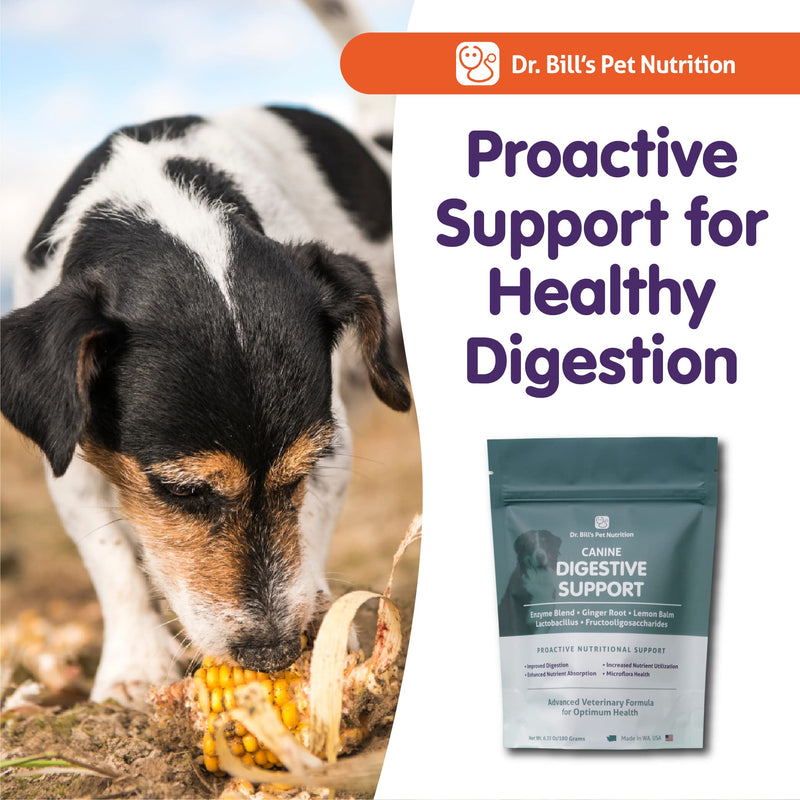 Dr. Bill’s Canine Digestive Support | Probiotics & Prebiotics for Dogs | Gut Health Pet Supplements | Contains Ginger Root, Psyllium Husk, Lemon Balm and Bifidobacterium - PawsPlanet Australia