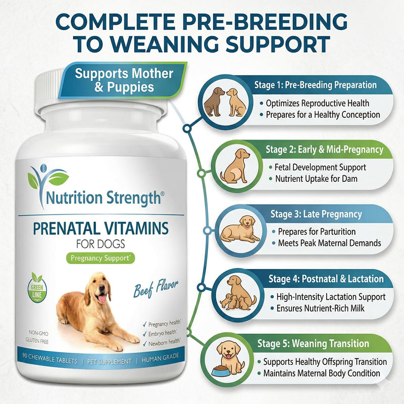 Prenatal Vitamins for Dogs to Support Development of Healthy Puppies, Promote Milk Production, with Folic Acid, Iron, Zinc, Iodine, B Vitamins for Pregnant Dogs, 90 Chewable Tablets Beef