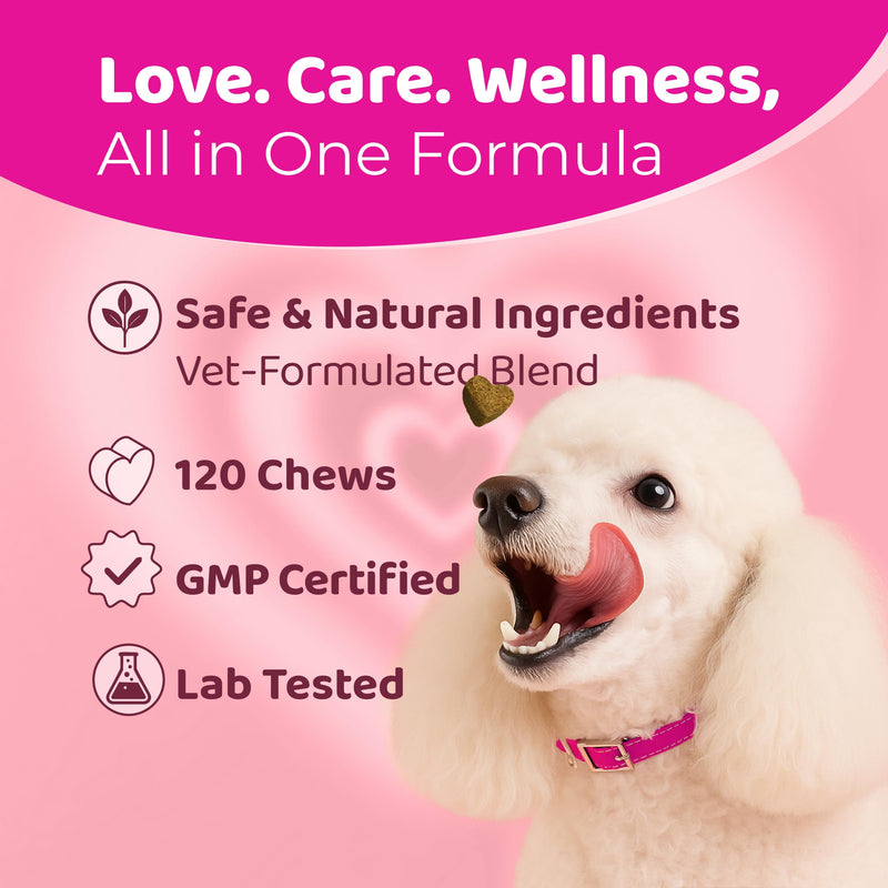 Skin & Coat Dogs Itchy Skin Chews for Dogs – 120 Soft Dog Chews – Helps Maintain Healthy Coat, Shine & Overall Skin Wellness – Natural Pork Flavor – Dog Treats for All Breeds & Sizes Skin & Coat