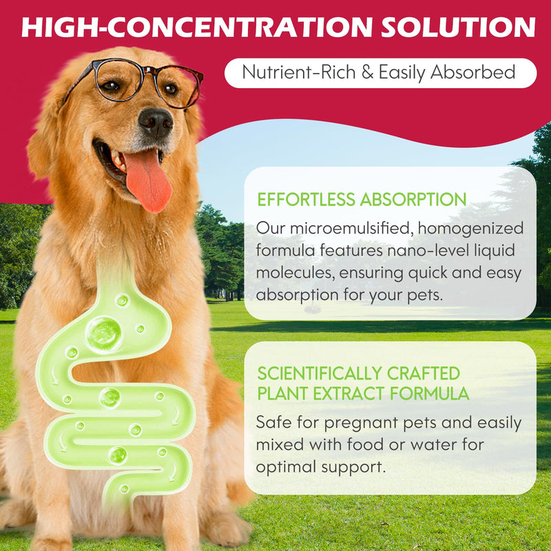 ZTSMSWY Dog Urinary Tract Infection Treatment, Dog UTI Treatment, Natural UTI Care Drops, Prevention Incontinence & Bladder Stones, Keep Pet Renal Health & UTI Care Drops 60ML - BeesActive Australia