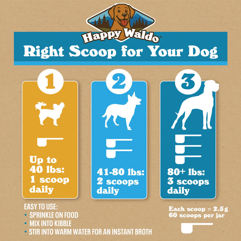 Bone Broth Dog Food Topper – Firm Stool Support, Digestion & Gut Health, Picky Eater Friendly with Pumpkin, Probiotics & Digestive Enzymes