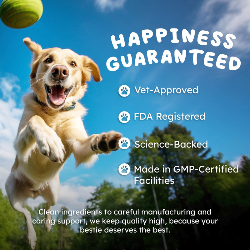 Dog Multivitamin Chews 90ct – 25-in-1 Daily Complete Nutrition Soft Chews with Vitamins, Minerals, Probiotics, Salmon Oil & Digestive Enzymes for Overall Wellness