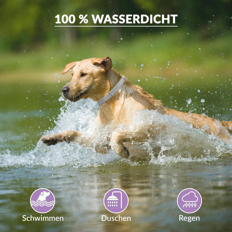 Animal Vita® Lavender tick collar for dogs [Effective protection against vermin] waterproof and adjustable - up to 8 months of tick protection with 100% natural ingredients, lavender - BeesActive Australia