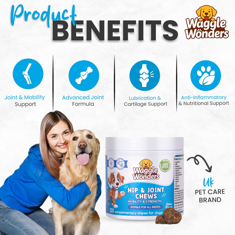 Hip & Joint Chews for Dogs – Dog Joint Supplement with Glucosamine, Chondroitin & Green Lipped Mussel, Supports Mobility, Flexibility & Stiff Joints, Senior & Active Dogs, 120 Chews