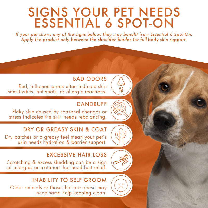 Dermoscent | Essential 6 Spot-On - Dog Itchy Skin Relief | Dandruff & Allergy Relief with Vitamin E Oil | Natural Ingredients for Sensitive Skin | Dogs 10-20 kg | 4 Pipettes of 1.2 ml