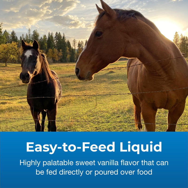 Pet-Ag Dyne High Calorie Liquid Nutritional Supplement for Livestock - 32 oz - Includes Added Vitamins - Excellent for Underweight, Stressed, or Recovering Animals 2 - PawsPlanet Australia