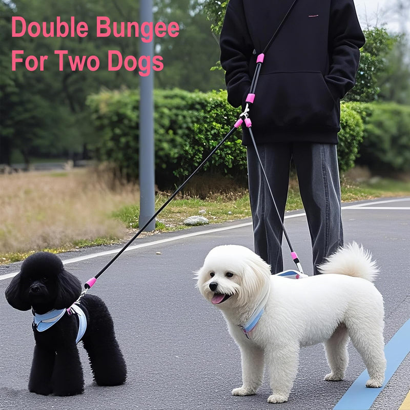 Double Dog Leash for Two Dogs,Dual Hands Free Dog Leashes,360 Swivel No Tangle Walking Leash,Soft Padded Handle,Adjustable Crossbody Waist Rope for Small Medium Large Dogs,Black Black - BeesActive Australia