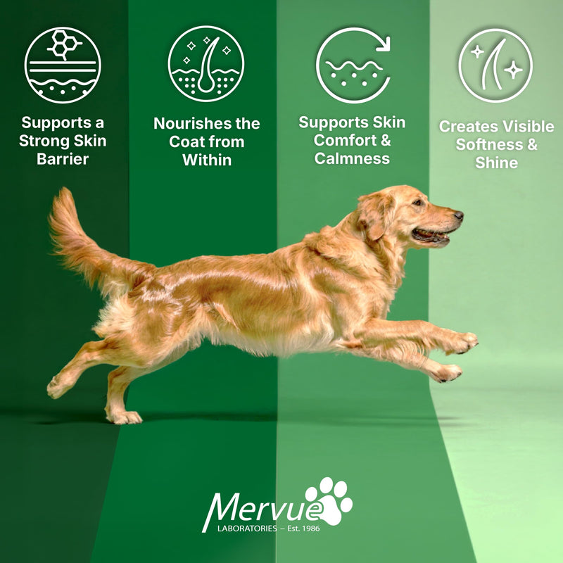 Mervue Skin and Coat Supplement for Dogs – Small Dog Omega 3 Supplement in Gel w/Zinc & Biotin to Support Gut Health – Tasty Daily Dog Multivitamin Packs for Normal & Sensitive Skins (14 x 5ml) Small Dog (14 x 5ml)