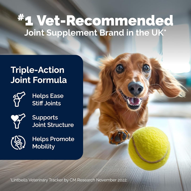 YuMOVE Hip and Joint Supplement for Dogs 300 count tablets Tablets: Adult - BeesActive Australia