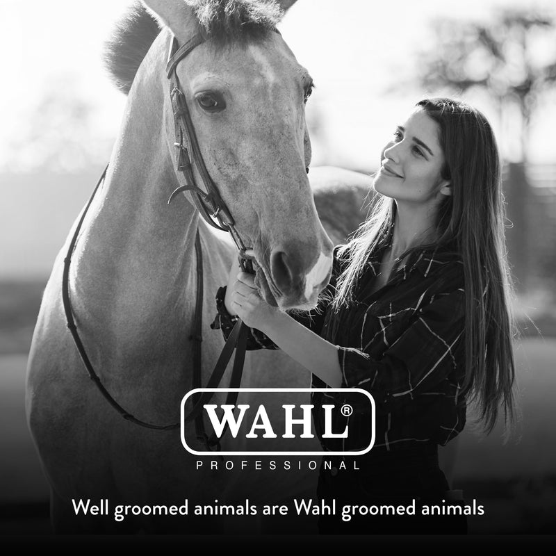WAHL Professional Animal Equine Grooming Tool - Mane & Tail Brush (#858709-100) for Horses - Black - BeesActive Australia