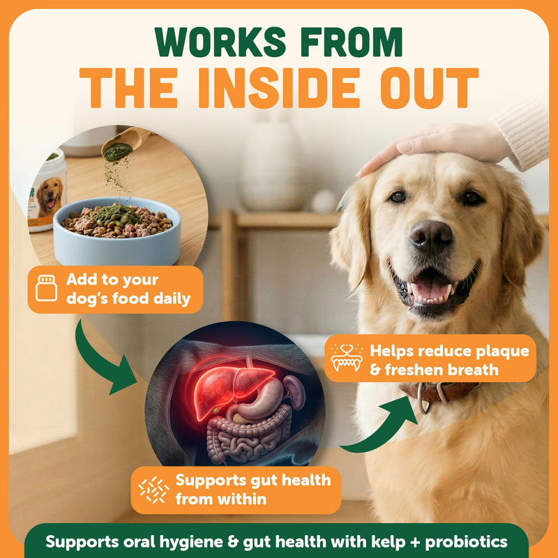 Plaque Off Powder for Dogs | Dogs Dental Powder for Teeth Cleaning, & Tartar Removal – Seaweed Plaque Remover with Probiotics for Gut Health & Fresh Breath – Up to 150 Days Supply