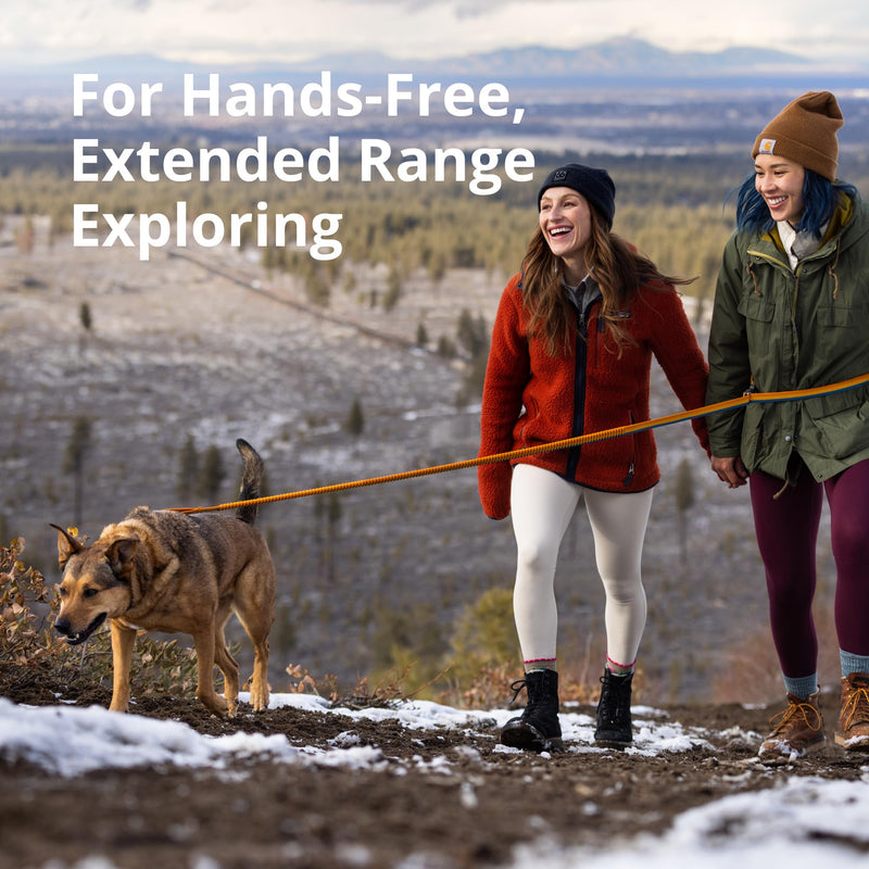 Ruffwear, Roamer Bungee Dog Leash for Running, Biking or Hiking, Can be Used Hand-Held or Hands-Free, Yellow Snow, 7.3'-11' 7.3'-11' - BeesActive Australia