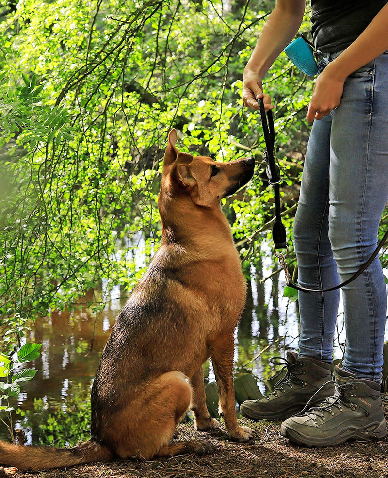 lionto dog collar made of durable nylon for dog training, length 45 cm, 1 cm thickness, pull stop collar for dogs, imitation leather with metal ring & adjustment with stepless slider, black 45 cm length, 1 cm thickness - BeesActive Australia
