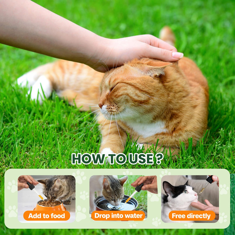 Cat & Kitten Dewormer for All Wormers, Pyrantel Pamoate, Roundworms & Hookworms, Liquid, 100ml
