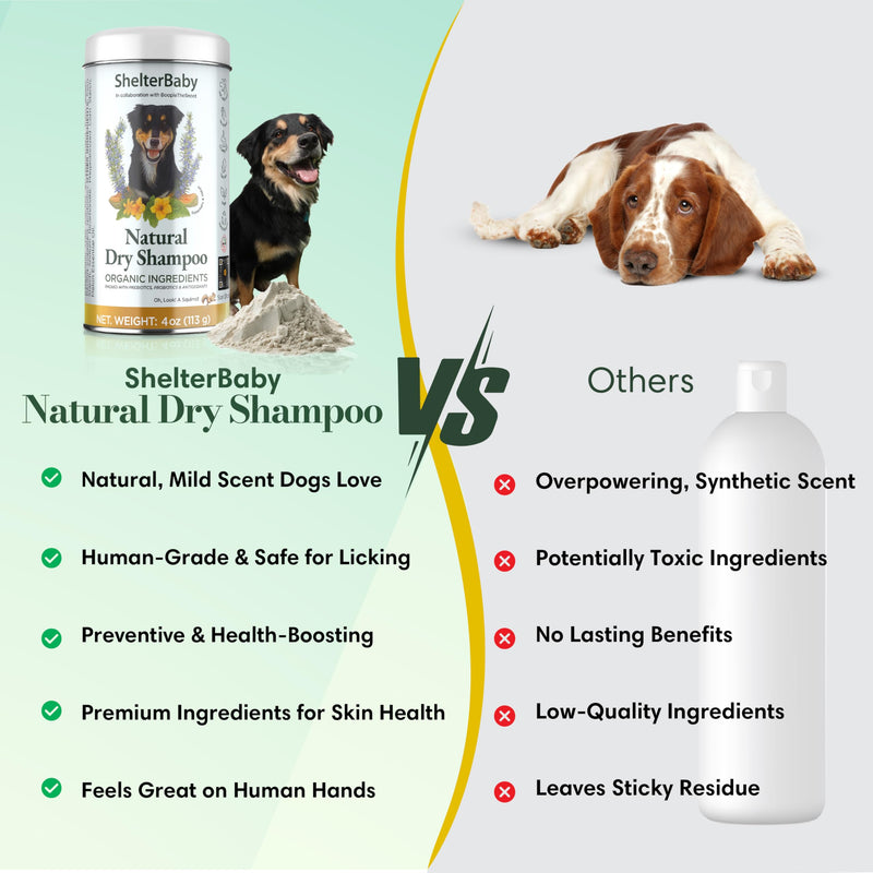 Dog Powder for Itchy Skin, Hot Spots & Yeasty Paws – Dry Shampoo for Sensitive Skin with Probiotics, Antioxidants & Prebiotics - Waterless - PawsPlanet Australia