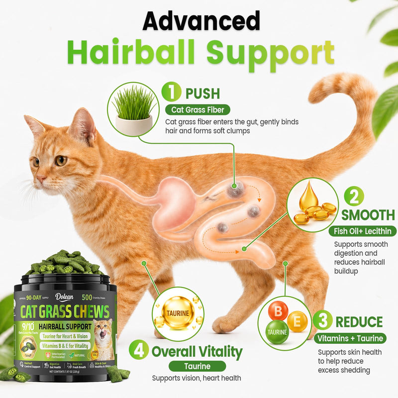 Cat Grass Treats, Hairball Treatment for Cats, Cat Grass for Indoor Cats, Fish Oil for Skin & Coat, Digestion, Taurine for Heart Vision, 500 Crunchy & Creamy Chews with Essential Vitamins of All Ages