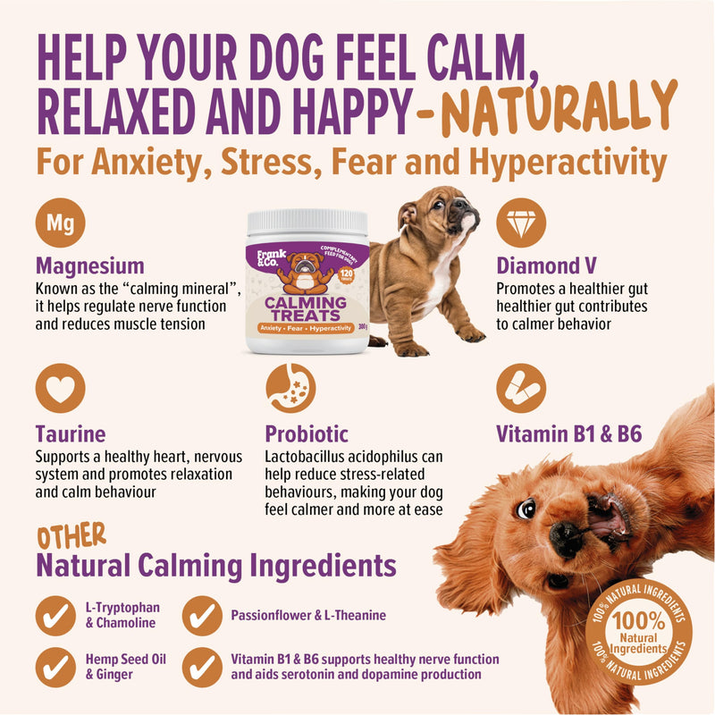 Frank & Co Calming Treats for Dogs – 120 Soft Chews with L-Tryptophan, L-Theanine, Magnesium, Chamomile, Passionflower, Hemp Seed Oil & Probiotics – Natural Daily Calm Support