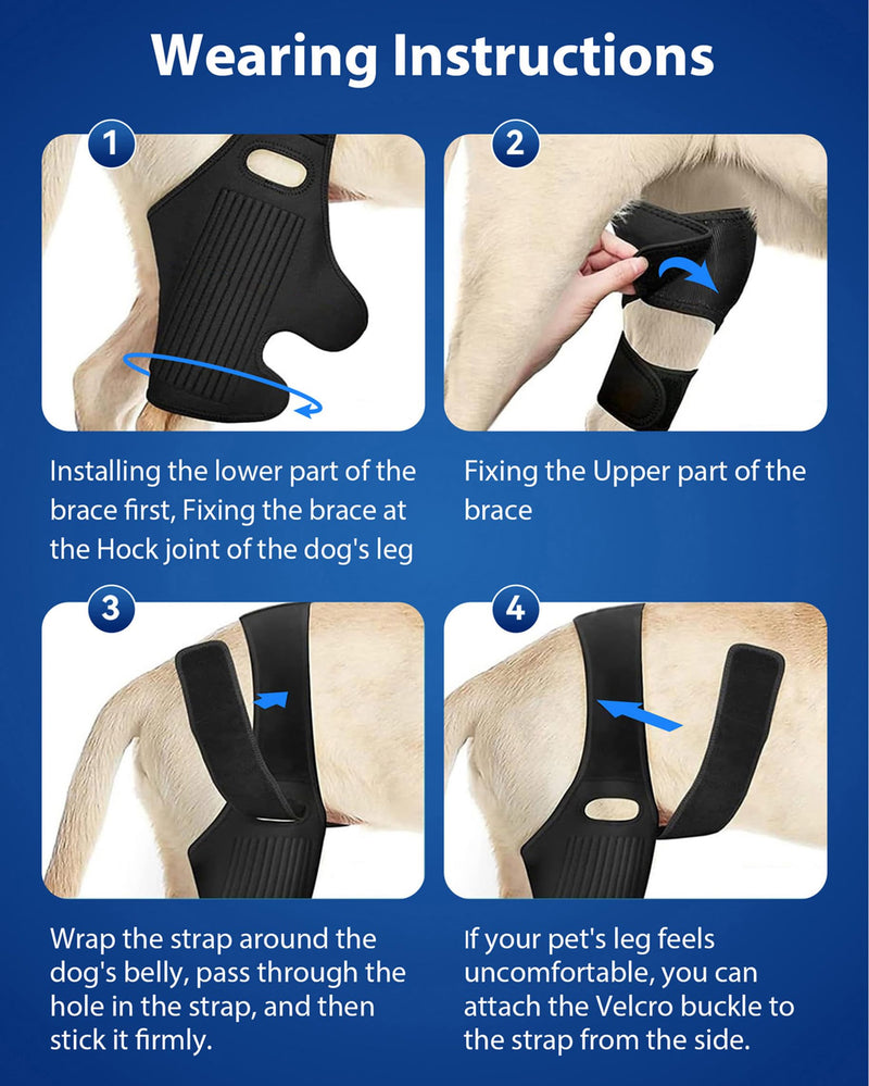 Dog Knee Brace, Dog ACL Brace for Front Torn and Back Hind Rear Legs ACL Tear, Dog Hip Knee Leg Brace for Hip Dysplasia, Dog Arthritis, Luxating Patella, Medium