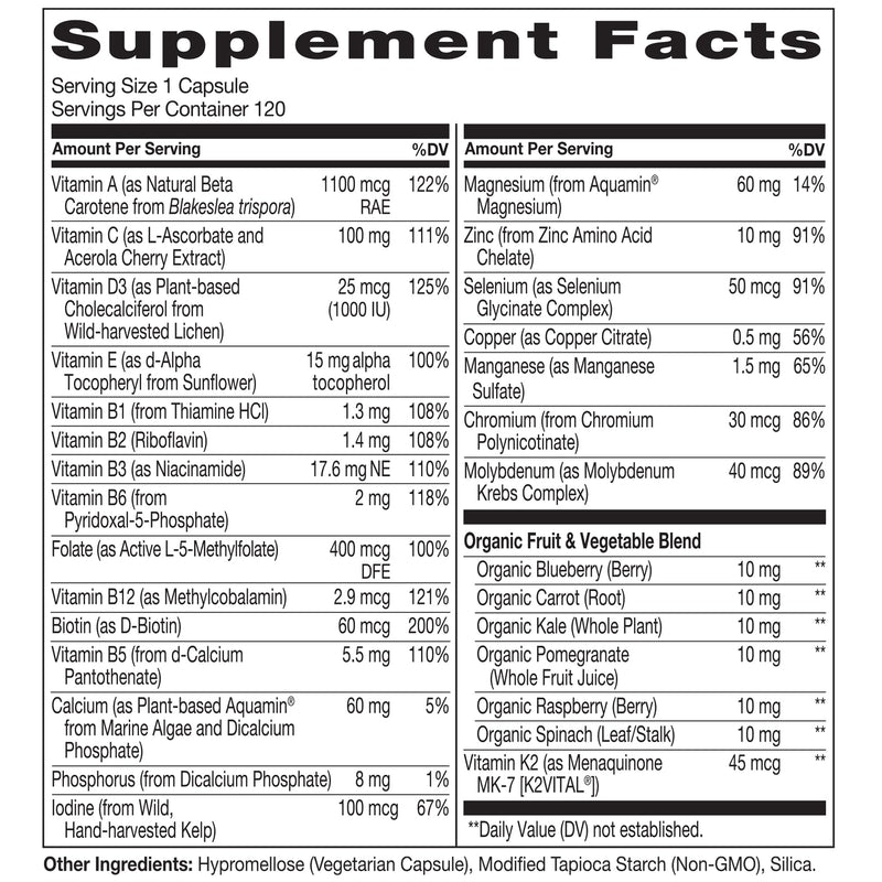 NATURELO Multivitamin for Men 50+ - One Daily, 120 Vegetarian Capsules | Vitamins, Minerals & Organic Whole Foods, Boost Energy and Health, Non-GMO 120 Count (Pack of 1)