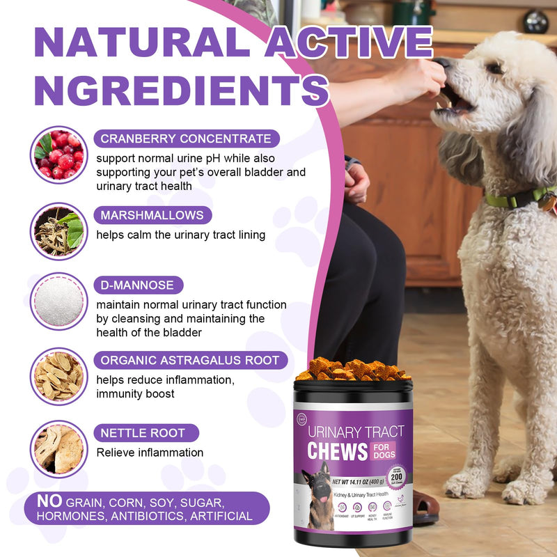 Dog Uti Treatment Cranberry Supplement for Dogs 200 Chews Urinary Tract Medicine Bladder Control Pills Kidney Support Cranberrys Extract Bites Uti Infection Treats Incontinence Remedy for Dogs Chicken