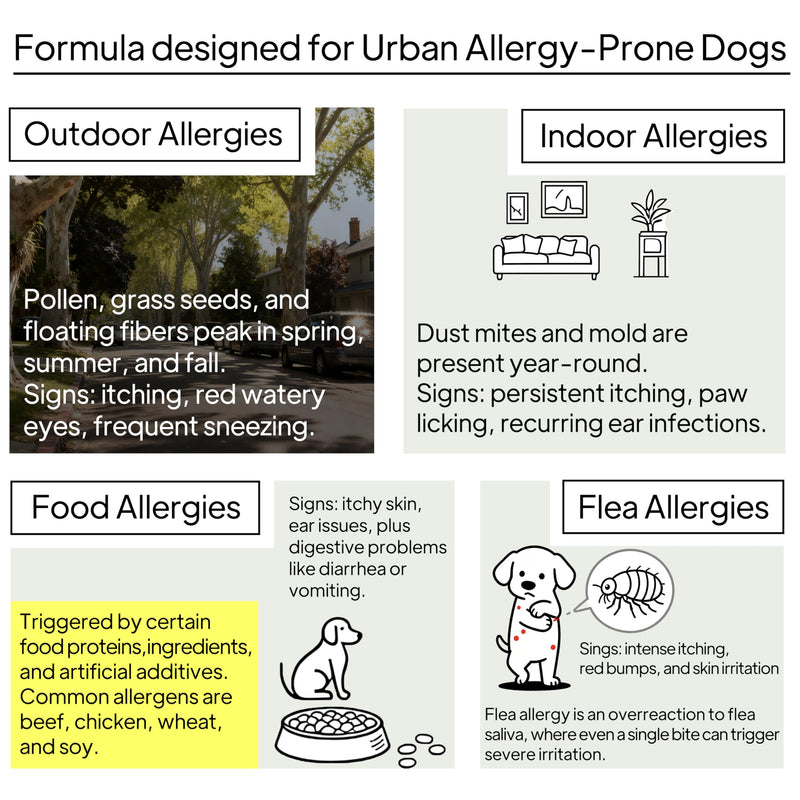 Dog Allergy Chews, Dog multivitamin Itching Skin Relief, Itchy Ears, Anti Itch, Paw Licking Treatment, Seasonal Allergies, Immune Bites, Dog Probiotics for Digestive Health & Gut Health, 60 Chews