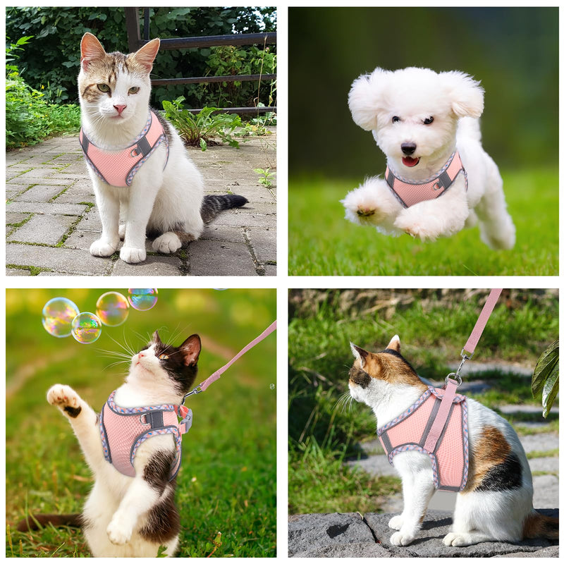 Brifit Cat Harness, Cat Harness with Leash, Escape-Proof, Soft Harness for Cat with Reflective Strips, Adjustable Cat Vest, Cat Harness Cat Harness for Cats Puppy [Pink, XXS] Pink - BeesActive Australia