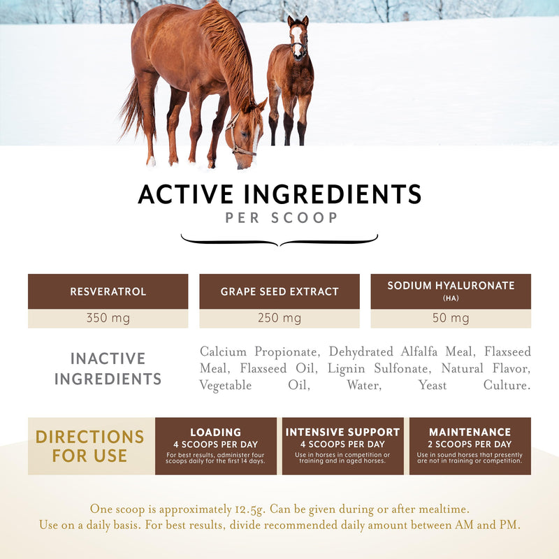 Equithrive Original Joint Supplement Pellets with Resveratrol and Hyaluronic Acid for Horses in Training and Competition and Senior Horses, 1.65 lbs 1.65lbs (30 day supply) - BeesActive Australia