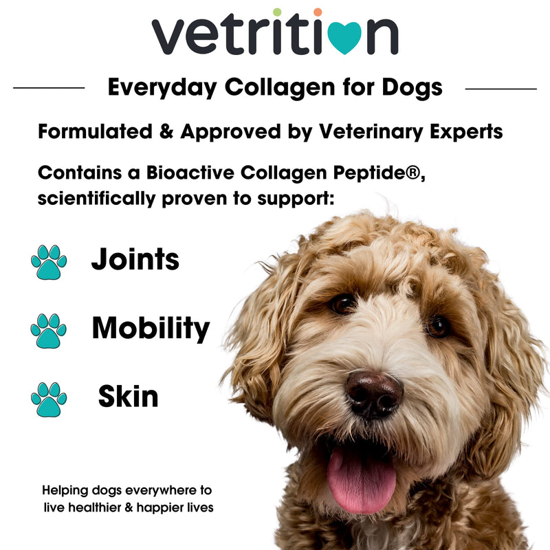 Collagen Powder for Dogs, Vet Approved Hydrolysed Collagen Peptides Supplement for Joints, Skin, Coat, Health, Bioactive Protein Rich Powder for All Ages, Breeds, Sizes Dogs, 150g