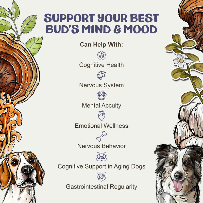 MycoDog Clarity - Cognitive Support Mushroom Supplement for Dogs - Brain Health, Memory & Focus Support with Adaptogens for Aging Dogs