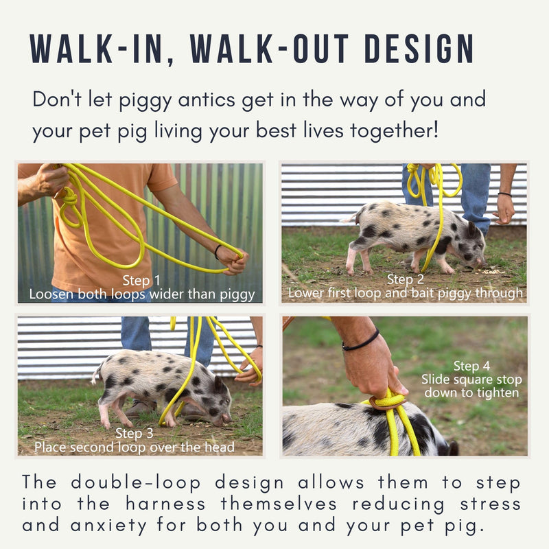 Pig Harness Leash-Fully Adjustable Pig Leash Harness for Small & Medium Pigs-Easy Step in Harness-Infinity Style Pet Pig Leash-Durable & Gentle Mini Pig Harness-Mini Pig Supplies (Small-Mauve Pink) Mauve Pink - BeesActive Australia