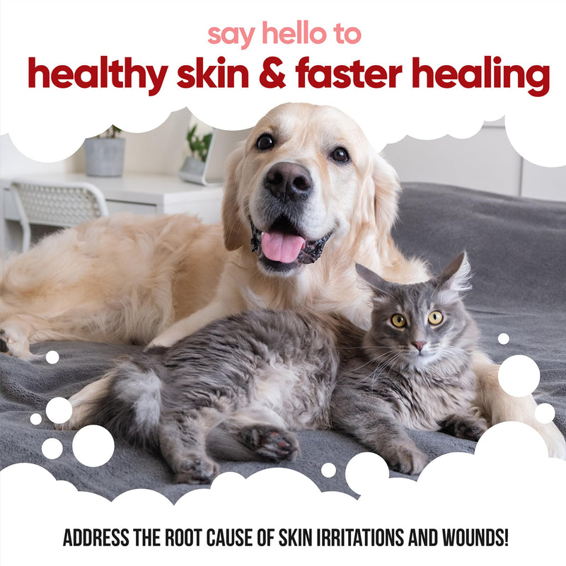 Buddycare Pet Antiseptic Spray (200ml) Dog Antiseptic Spray & Cat Antiseptic Spray Effective Dog Wound Spray, Suitable for All Pets, Pet Wound Care Solution 200ml (Pack of 1)