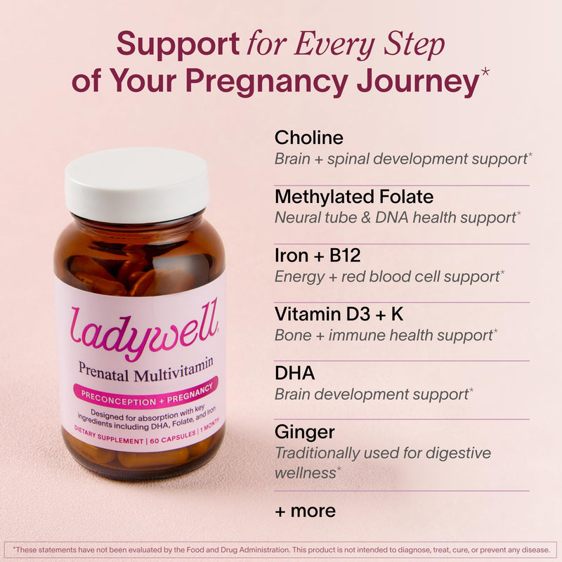 Ladywell Prenatal Multivitamin | Conception, Pregnancy & Postpartum | Key Ingredients Including DHA, Folate & Iron | Expertly-Formulated & Tested | Designed for Absorption with Nausea Support, 60 Ct 60 Count (Pack of 1) - BeesActive Australia