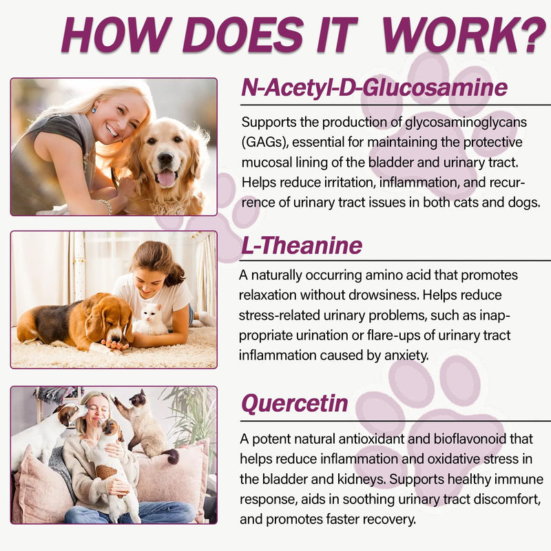 Natural UTI Treatment for Cats & Dogs – Antibiotic-Free Urinary Tract Infection Support Supplement – Bladder & Kidney Health – Incontinence Prevention – 30 Capsules