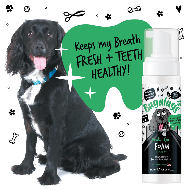 BUGALUGS Dog Breath Freshener Dental Care Foam. Clean Teeth, Healthy Gums & Fresh Breath - Natural Dog plaque remover & tartar remover for teeth - No Brushing Needed (Dog 210ml Foam) 210 ml (Pack of 1)