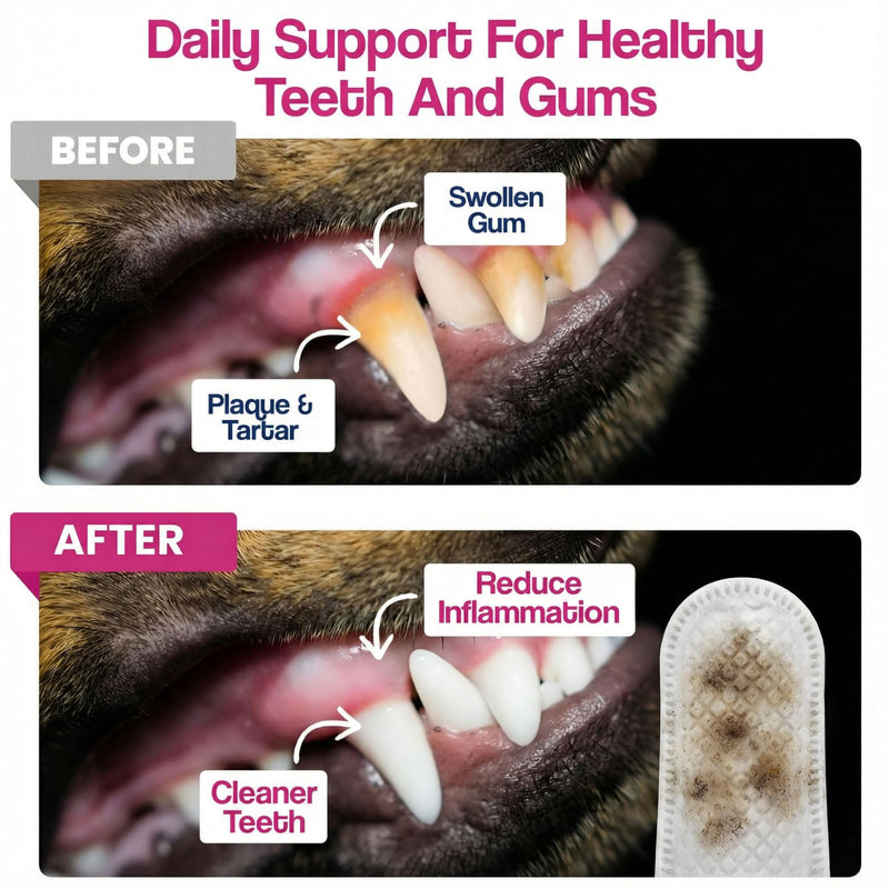 Pet Dental Finger Wipes - Natural Ingredients, Easy to Use Dog Teeth Cleaning Wipes for Effective Dog Teeth Cleaning - Ideal Dog Dental Wipes for Optimal Oral Hygiene Unscented