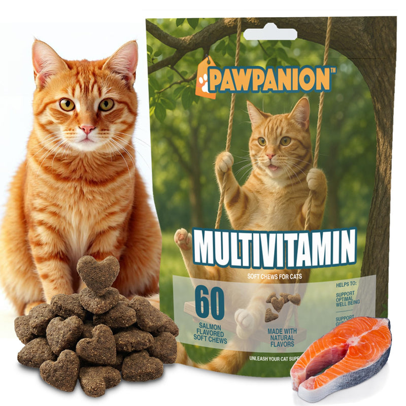 Multivitamin Soft Chews for Cats, Daily Vitamins & Immune Support, Joint Skin Gut Health Formula, Probiotics + Omega + Vitamins, 60 Soft Chews Salmon Flavor Multivitamin