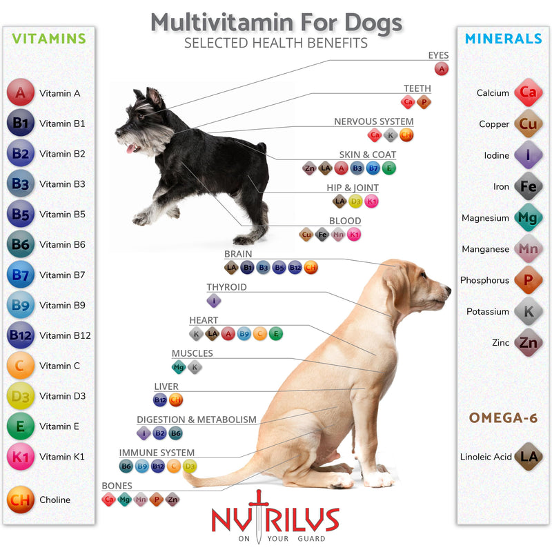 Vitamins and Minerals for Dogs - 120 Chewable Chicken Flavour Tablets - 24 Vitamins, Microelements and Omega 6 - Skin, Fur, Heart, Bones, Brain, Energy