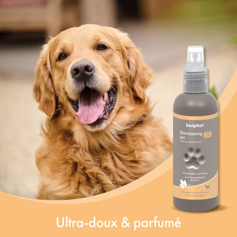 BEAPHAR Ultra-soft dog shampoo dry shampoo - natural aloe vera extracts and raspberry water - strengthens and gives the hair shine - ready to use, no rinsing - 200 ml dry - BeesActive Australia