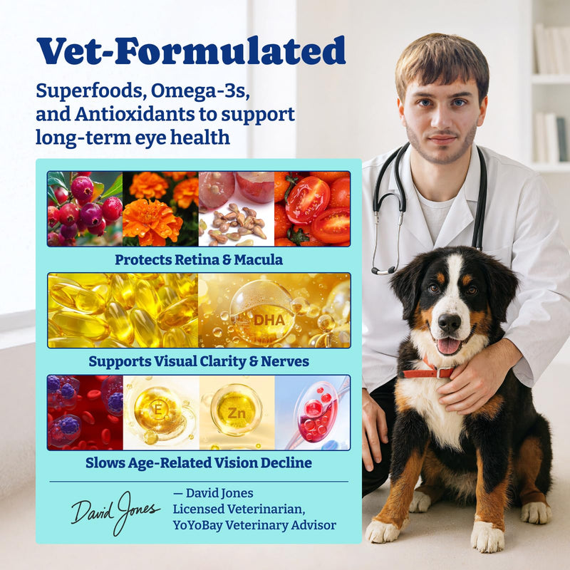 Dog Eye and Liver Wellness Bundle – Vision Support Chews with Antioxidants and Omega-3s Plus Milk Thistle Liver Detox Chews with NAC and Curcumin – Natural Daily Health Support for Dogs of All Breeds
