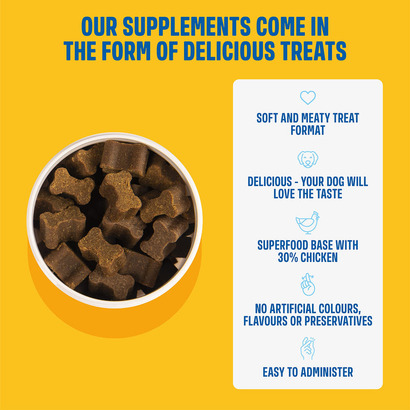ivvi HIP & JOINT Supplements for Dogs with High Levels of Glucosamine for Dogs, Chondroitin, MSM & Green Lipped Mussel for Dogs – Arthritis Dog Supplement - 60 Tasty Soft Chews with Chicken