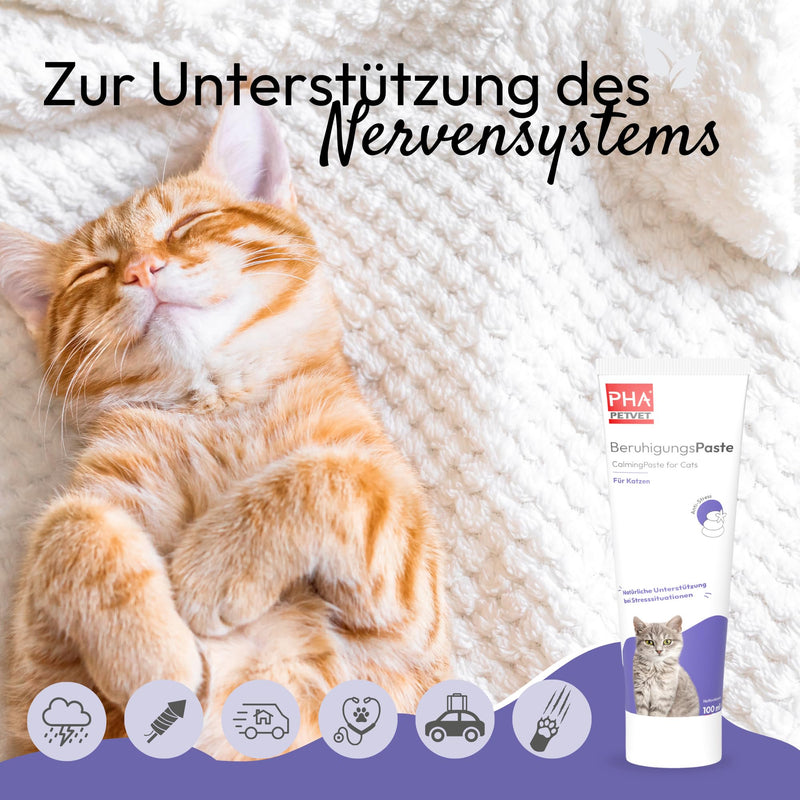 PHA calming paste for cats for stress, restlessness, fear, marking, new surroundings, natural support for the nerves, anti-stress agent, 100 ml - BeesActive Australia