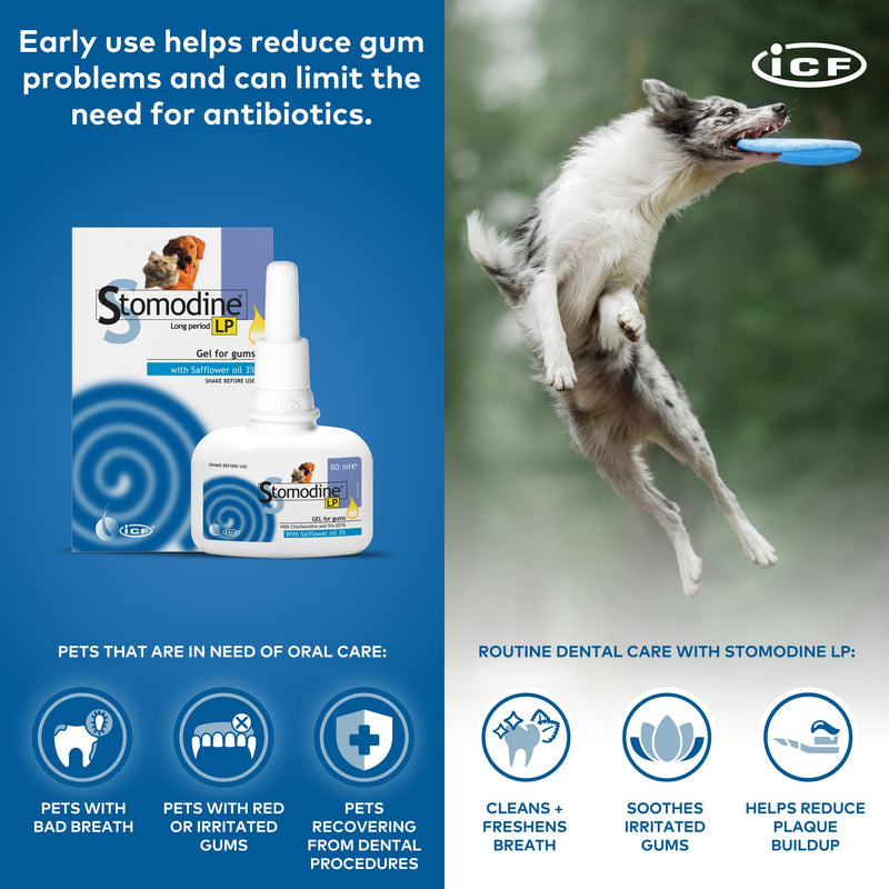 ICF | Stomodine Long Period Cat & Dog Toothpaste Gel for Pets' Oral Hygiene Gum Health | Bad Breath Meat Flavoured | 50 ml