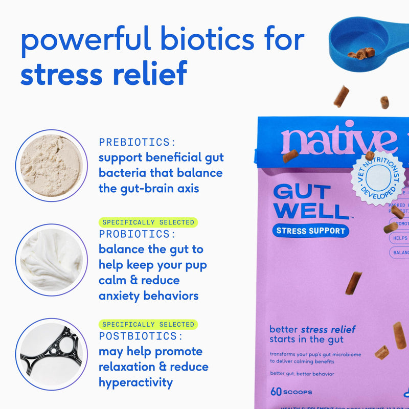 Native Pet Stress Support & Multivitamin Bundle: GutWell Stress Support - Dog Anxiety Relief & Dog Vitamins & Supplements - 11-in-1 Multivitamin Powder Food Topper for Overall Health - 60 Scoops