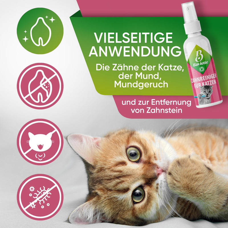 Baviette cat care set: (300-fold) probiotic plaque for teeth cleaning for cats - optimal oral care, dental care, effective against bad breath and tartar, odor-free (oral care) oral care 100ml - BeesActive Australia