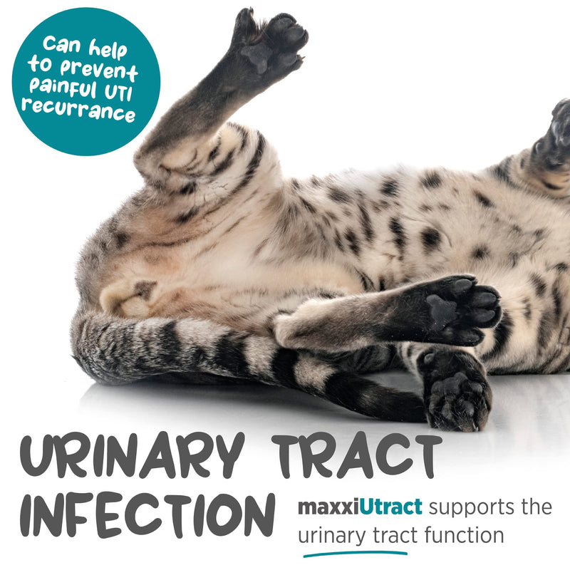 maxxipaws maxxiUtract Urinary & Bladder Support - Powder Supplement for Cats, 3.2oz 3.2 oz